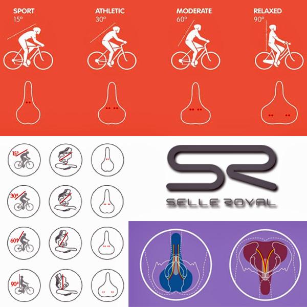 Selle%20Royal.jpg